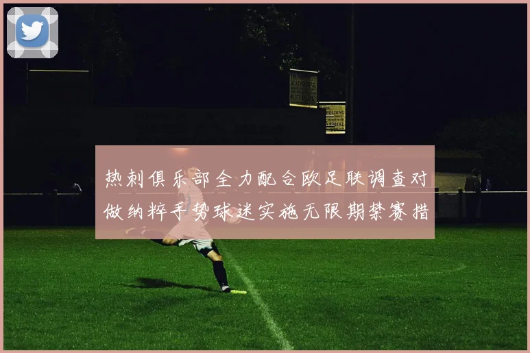 热刺俱乐部全力配合欧足联调查对做纳粹手势球迷实施无限期禁赛措施